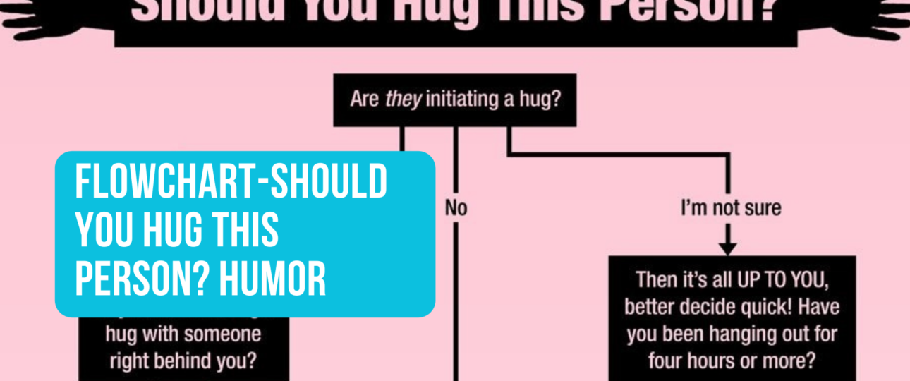 Flowchart Should You Hug This Person Humor