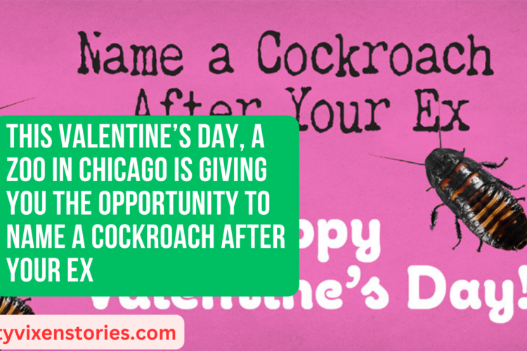 This Valentines Day A Zoo in Chicago Is Giving You the Opportunity to Name a Cockroach After Your Ex