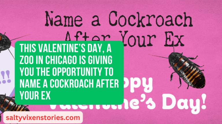 This Valentine’s Day, A Zoo in Chicago Is Giving You the Opportunity to Name a Cockroach After Your Ex