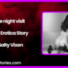 A late night visit Audio Erotica Story by Salty Vixen