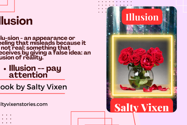 Illusion ebook by Salty Vixen cover