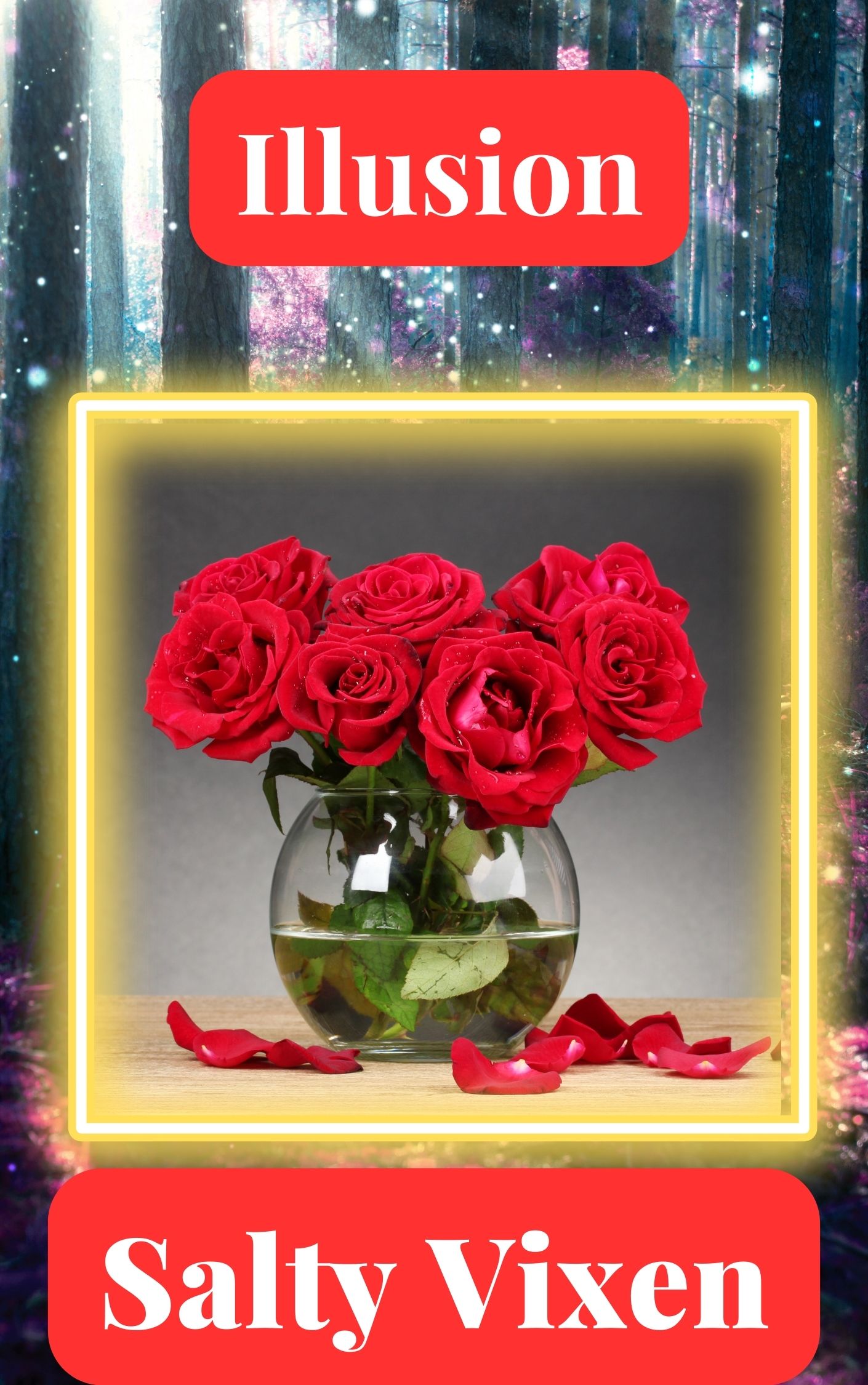 Illusion ebook by Salty