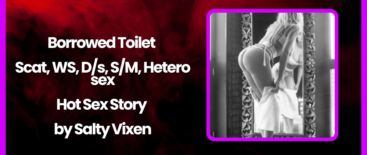 Borrowed Toilet Scat WS Ds SM Hetero sex by Salty Vixen
