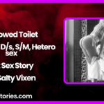 Borrowed Toilet Scat WS Ds SM Hetero sex by Salty Vixen