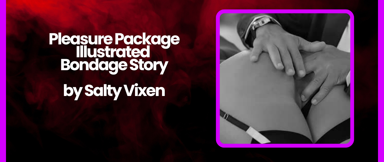 Pleasure Package Illustrated Bondage Story by Salty Vixen