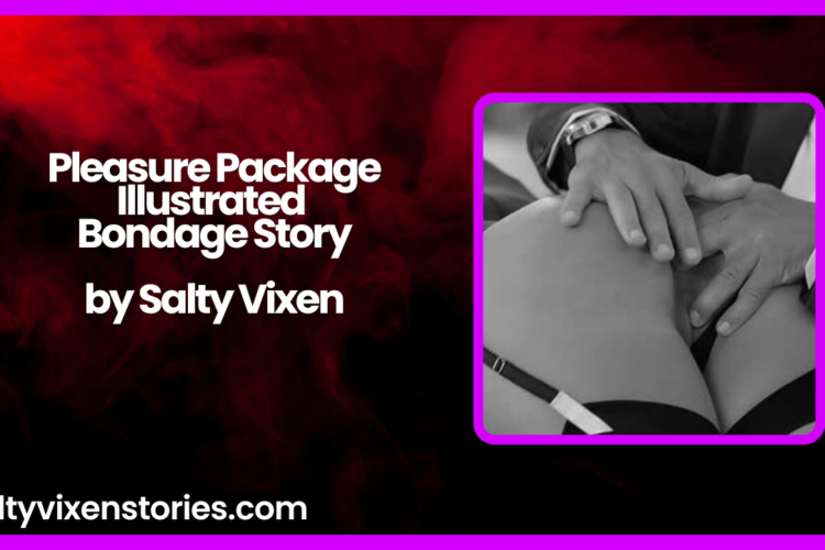 Pleasure Package Illustrated Bondage Story by Salty Vixen