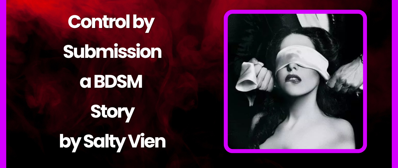 Control by Submission a BDSM Story by Salty Vixen