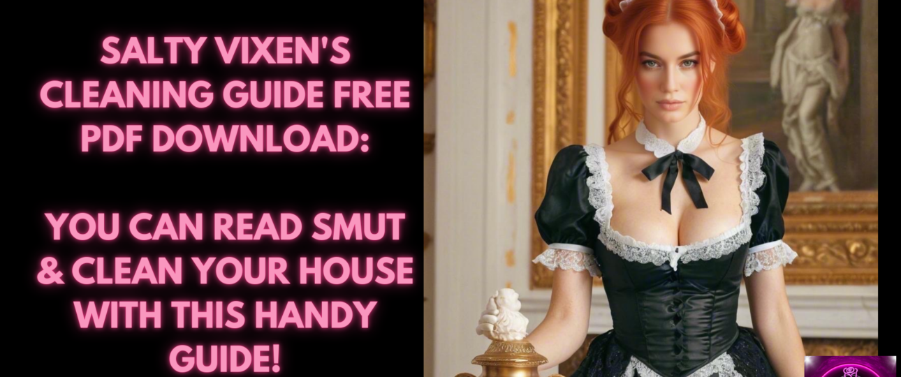 Salty Vixens Cleaning Guide free PDF download