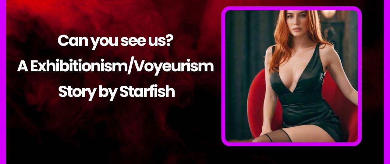 Can you see us A ExhibitionismVoyeurism Story by Starfish
