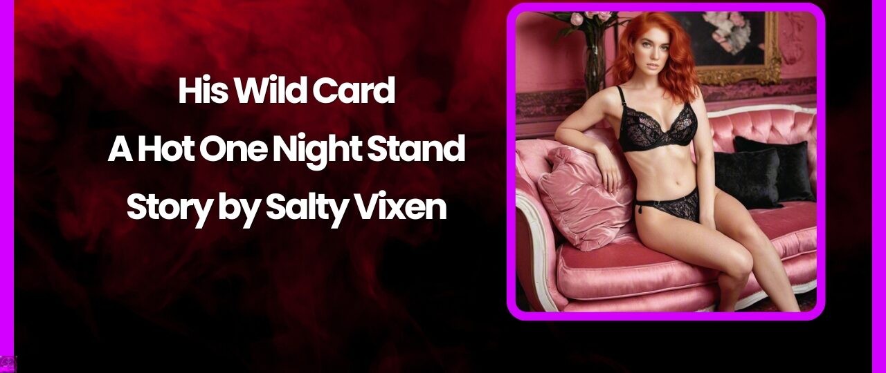 His Wild Card A Hot One Night Stand Story by Salty Vixen