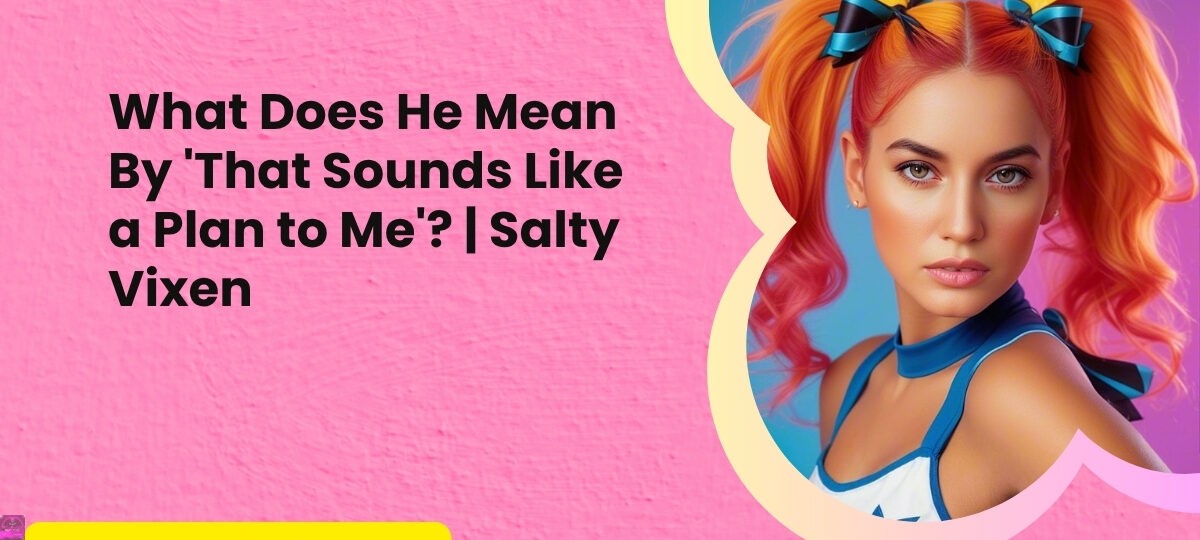 What Does He Mean By That Sounds Like a Plan to Me Salty Vixen