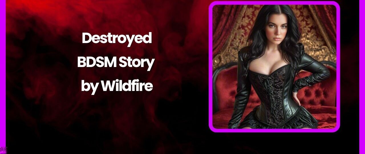 Destroyed BDSM Story by Wildfire