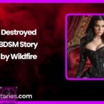 Destroyed BDSM Story by Wildfire