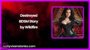 Destroyed-BDSM Story by Wildfire