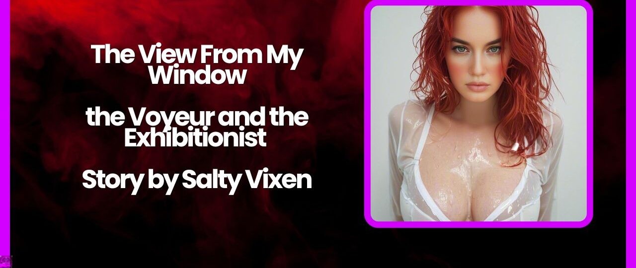 The View From My Window the Voyeur and the Exhibitionist Story by Salty Vixen