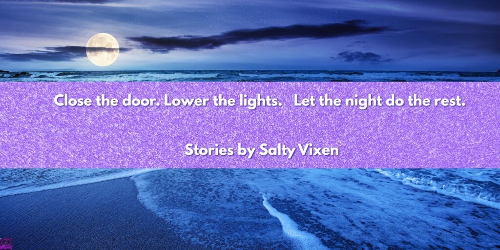 the velvet room cover