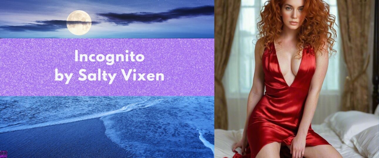 Incognito by Salty Vixen