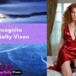 Incognito by Salty Vixen