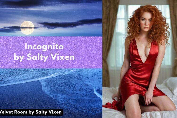 Incognito by Salty Vixen