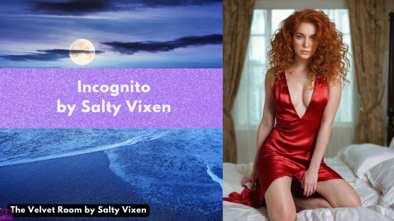 Incognito by Salty Vixen