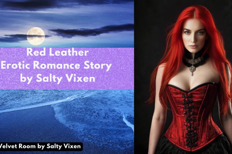 Red Leather Erotic Romance BDSM by Salty Vixen