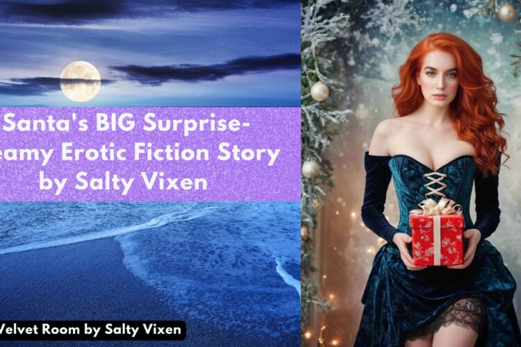 Santas BIG Surprise Steamy Erotic Fiction Story by Salty Vixen