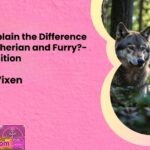 How to Explain the Difference Between Therian and Furry Savage Edition cover