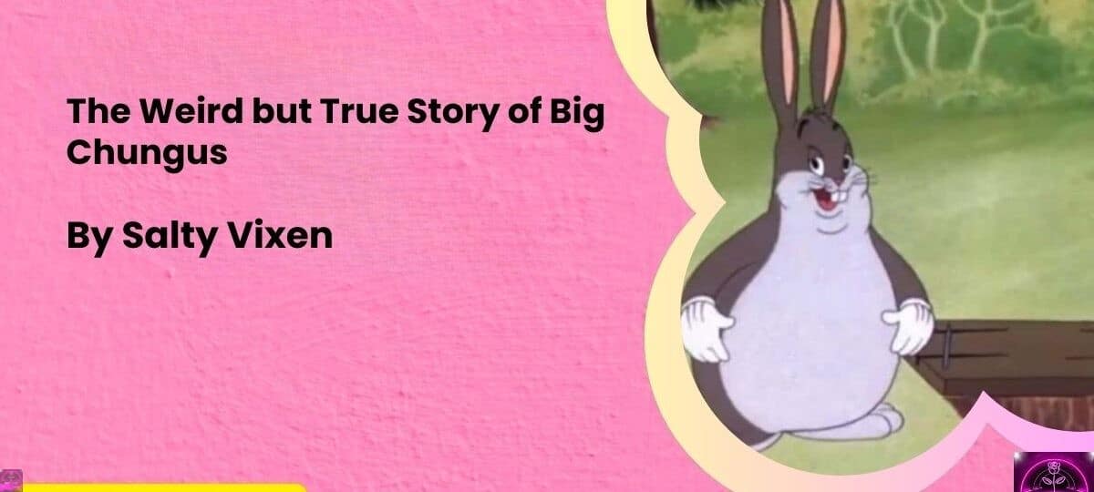 The Weird but True Story of Big Chungus by salty vixen