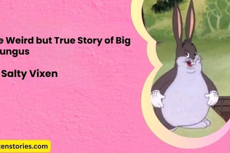 The Weird but True Story of Big Chungus by salty vixen