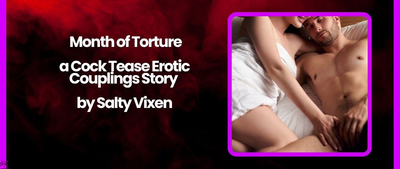 Month of Torture a Cock Tease Erotic Couplings Story by Salty Vixen