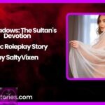 Silk Shadows The Sultans Devotion – Erotic Roleplay Story by SaltyVixen