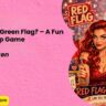 Red Flag or Green Flag – A Fun Relationship Game by Salty Vixen