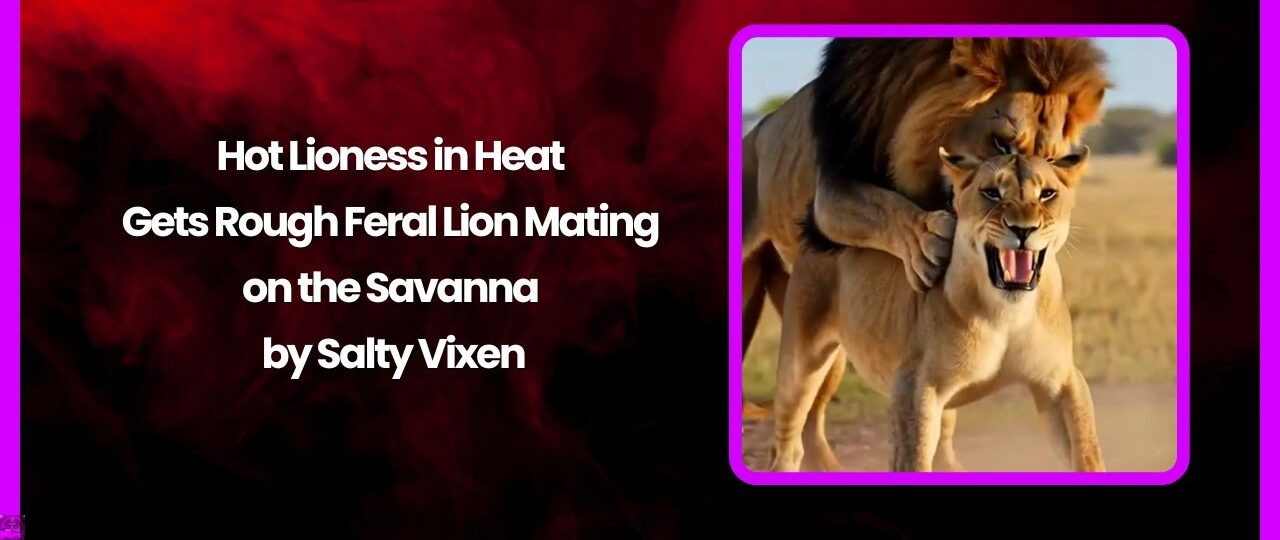 Hot Lioness in Heat Gets Rough Feral Lion Mating on the Savanna by Salty Vixen