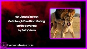 Hot Lioness in Heat Gets Rough Feral Lion Mating on the Savanna by Salty Vixen