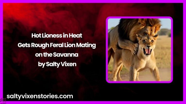 Hot Lioness in Heat Gets Rough Feral Lion Mating on the Savanna by Salty Vixen