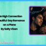 Mile High Connection A Beautiful Gay Romance on a Plane by Salty Vixen