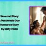 Slow and Steady A Passionate Gay Romance