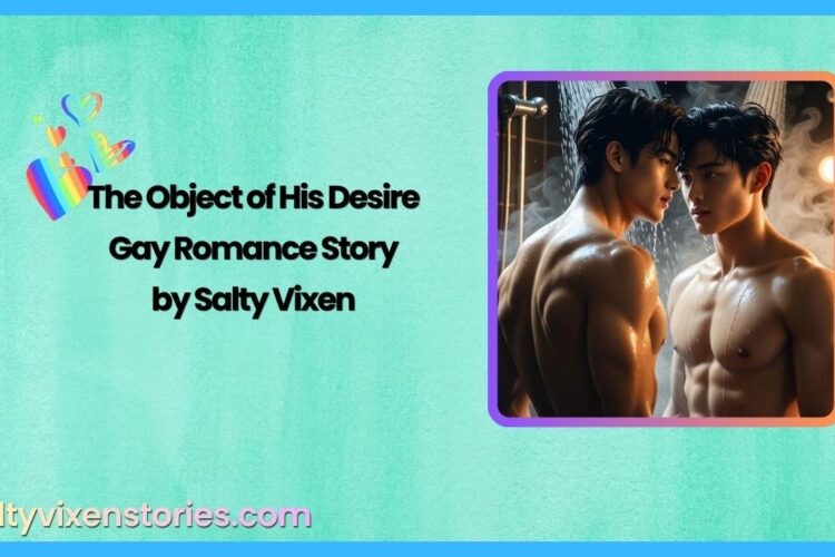 The Object of His Desire Gay Romance Story by Salty Vixen