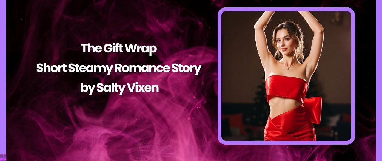 The Gift Wrap Short Steamy Romance Story by Salty Vixen