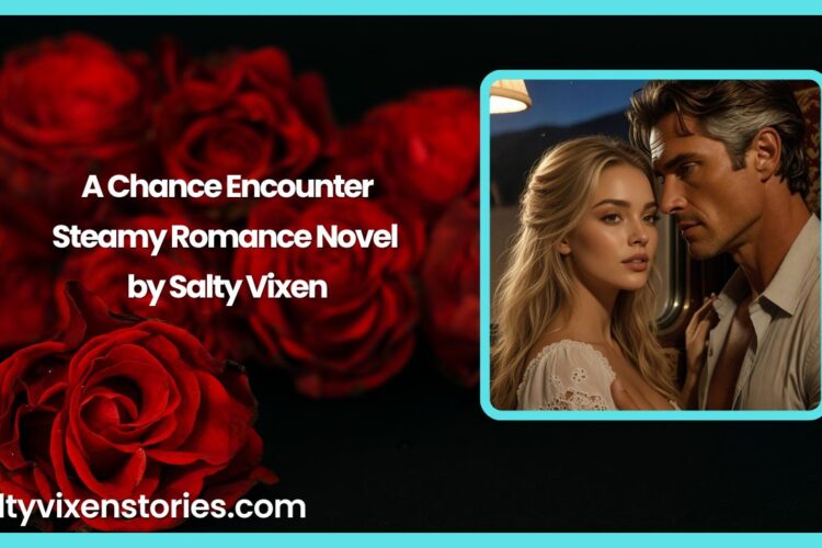 A Chance Encounter Steamy Romance Novel by Salty Vixen
