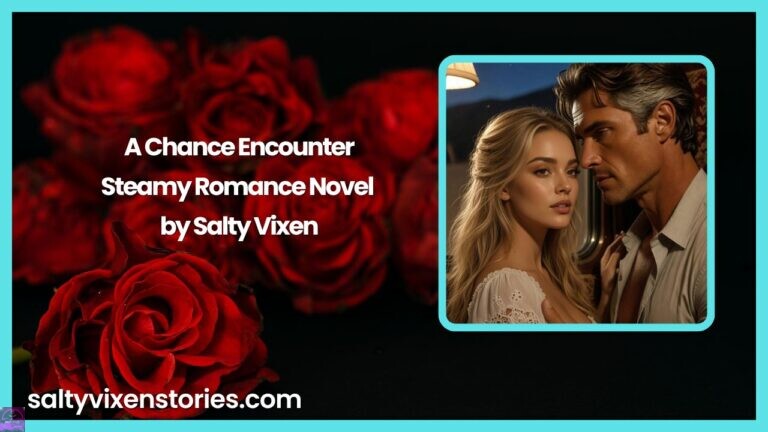 A Chance Encounter-Steamy Romance Novel by Salty Vixen