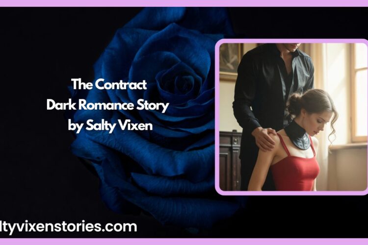 The Contract Dark Romance Story by Salty Vixen