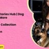 Animal Sex Stories Hub | Dog fucking and More
